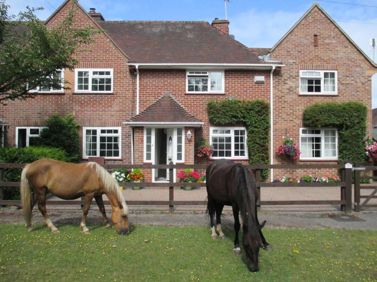 Hops Main House, Brockenhurst, New Forest Βίλα Εξωτερικό φωτογραφία