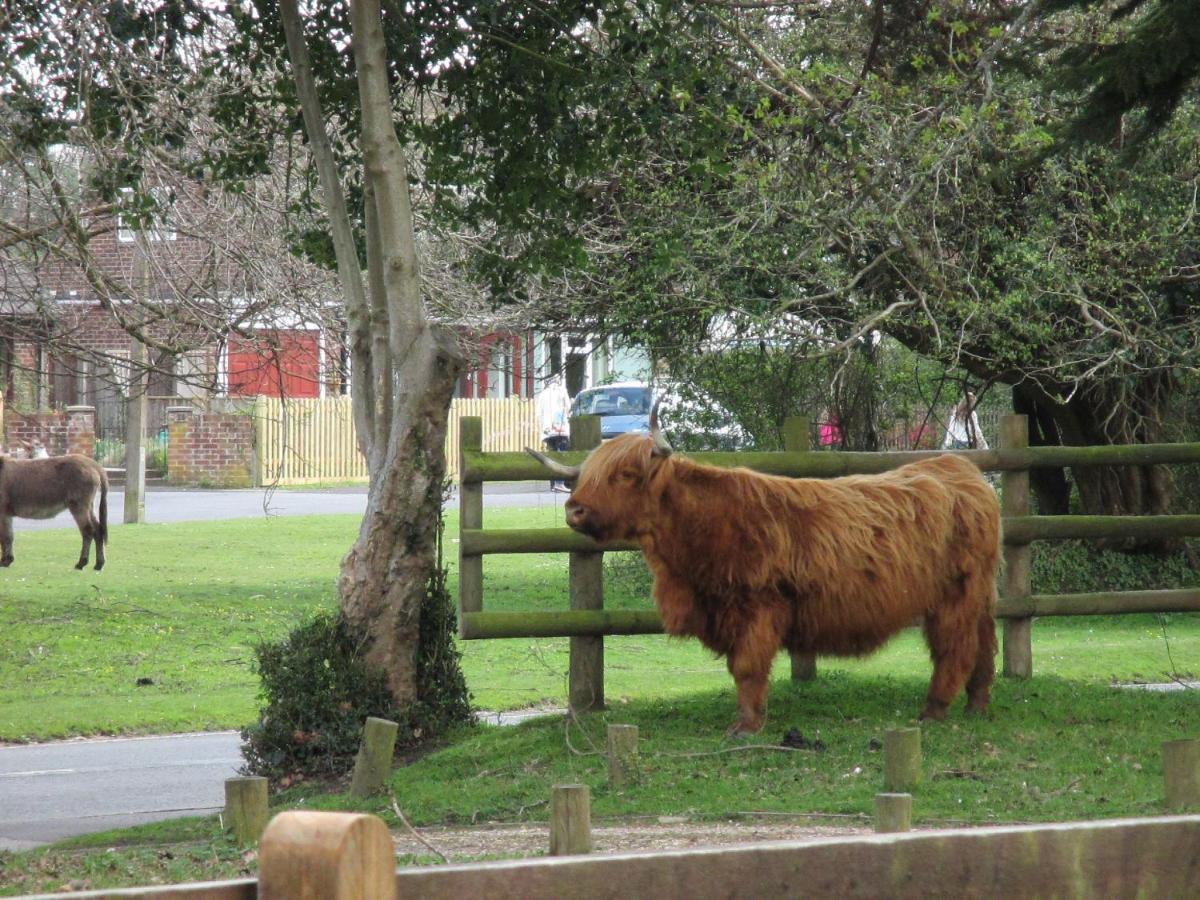 Hops Main House, Brockenhurst, New Forest Βίλα Εξωτερικό φωτογραφία