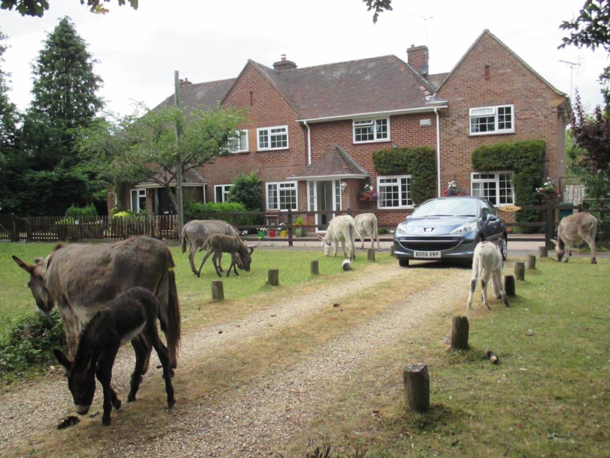 Hops Main House, Brockenhurst, New Forest Βίλα Εξωτερικό φωτογραφία